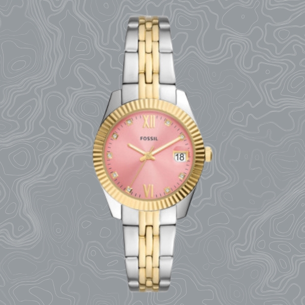 Fossil ES5173